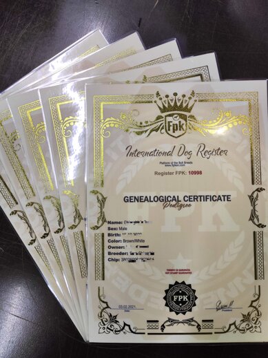 fe5eae80-b221-42f2-95c0-444a610bf78f