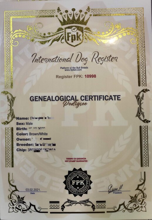 40c04db4-4847-4ce4-ae69-19e0703cbd6c