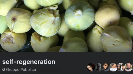 d1b8c7a0-3098-46a2-8617-85c0e6a1f172