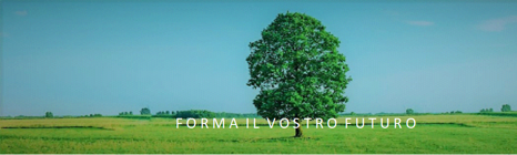 b2ed3c39-7e56-4a9f-879a-70e31f2c348a