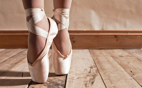 194fdc78-6f16-495b-89b5-7e10cdd9a4e7 194fdc78-6f16-495b-89b5-7e10cdd9a4e7