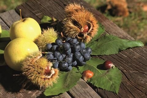 3296a14c-04e3-4e9d-9478-d154a7dca19f