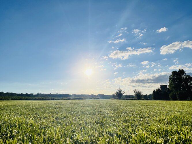 96561688-f4d8-4292-a4d9-e2cff70fd991