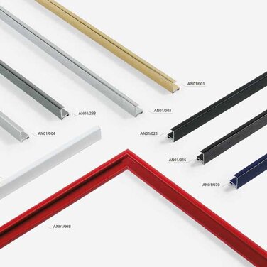 d7b06e94-7738-4de1-8032-9f2aa80d4438