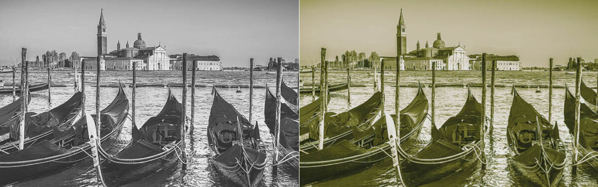 8a8f82a5-9a29-433d-aeac-1b1102784227