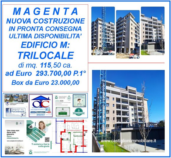 nuova locandina m02.jpeg nuova locandina m02.jpeg