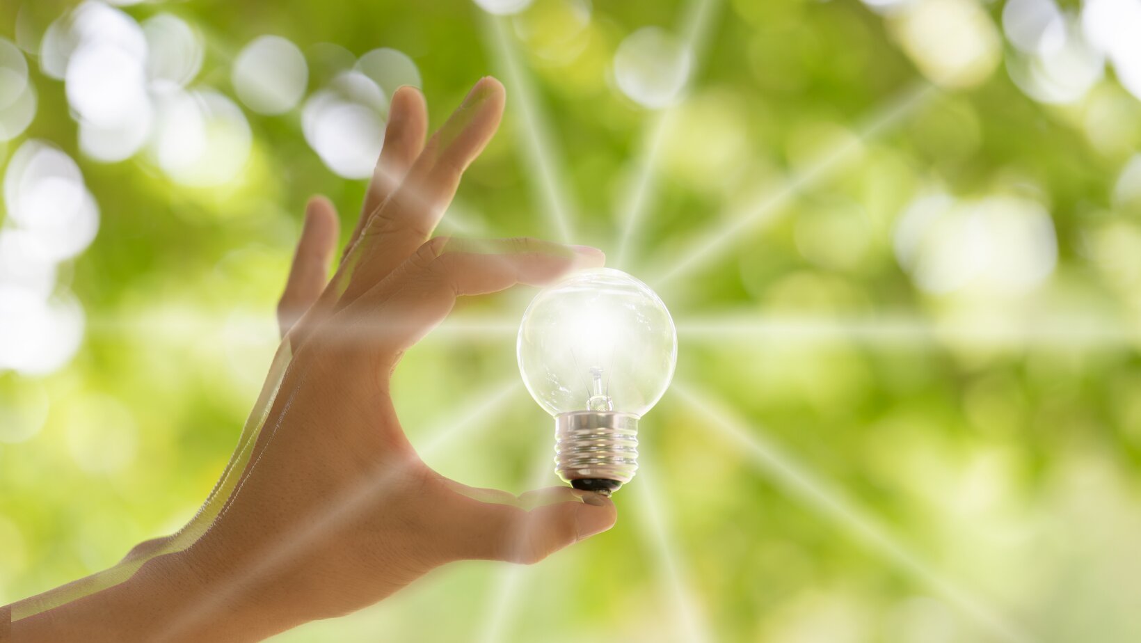 Energia elettrica e gas: servizio dedicato