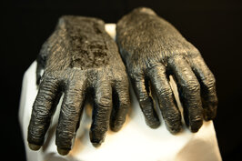 25ba782e-a21e-440e-8652-f9357e371754