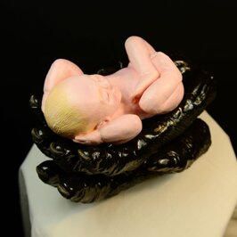 511c54be-9bd9-418a-99a4-e56a094db04e