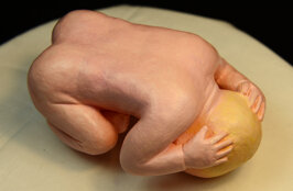 140b8d06-1797-4161-b216-a038aaf62c99