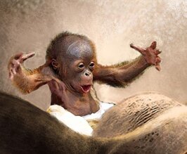 2bbb16ef-88de-45bc-b03c-b5bed44fca3c