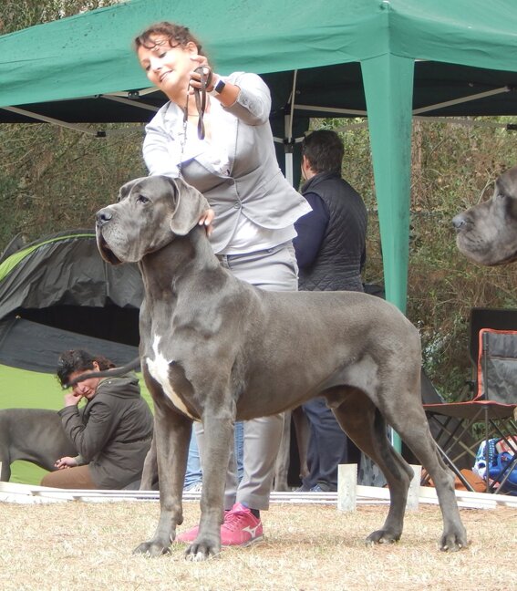 aabb80ba-171b-434a-a5f5-cc908df04967