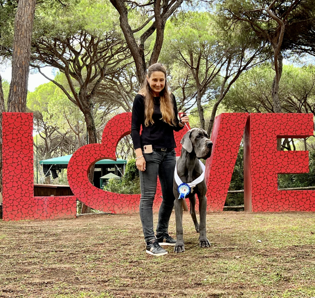 6edeb8a5-4d5d-42d5-8ea8-69287aeda075