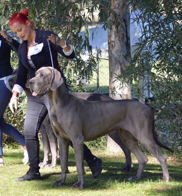 a0416479-ebd0-4456-8944-855ba273f86e