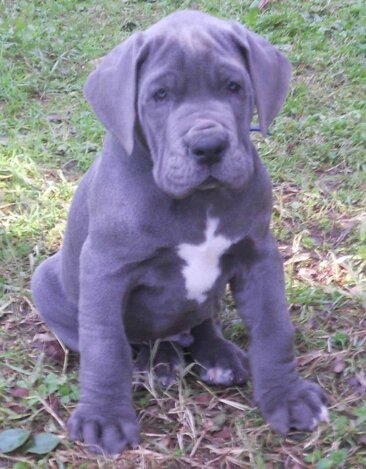 fd3f0d07-8f05-425c-a5de-ae62eb76a849