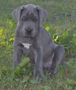 a25b7cb6-b6d7-404d-97ff-267175e7d626