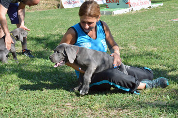 f55b14b8-e03b-4eac-92a4-2cf44fbf404e