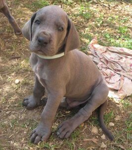 e14785df-86ab-493b-af1a-2add2a173744