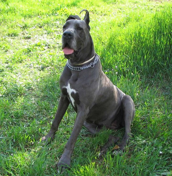 c21611fb-ae74-47da-a6b1-9c3b07ad6151