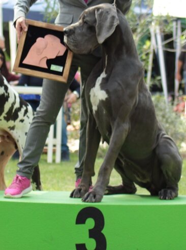 ce5df35d-a84b-4a2b-bd20-e84107ab67bf