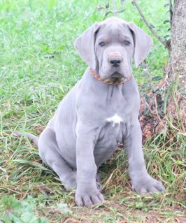 690b608b-fa7d-4bc4-bc5f-c73eaa3da8b8