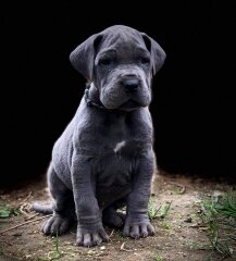 8f7e04e2-a733-4f94-bef4-6506c0a6b526