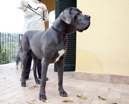 5cec44f3-53f2-4f22-a4e2-47afe937041f