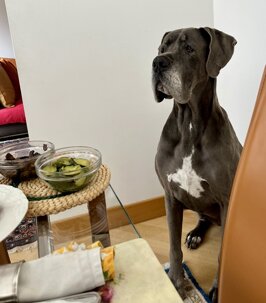 ccbfab6a-6045-4e05-9e3e-c82fd6162a21