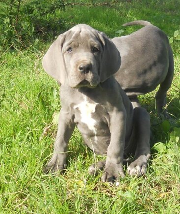 1aa88243-8323-44e5-8b1c-c5df90456298