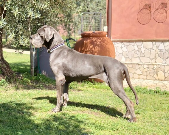 37bcf6e8-0e1e-4ff5-b945-70e564c5a5d6