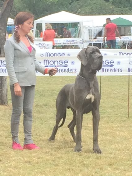 6ea221f2-cdba-4e32-8b4b-a9863c324786