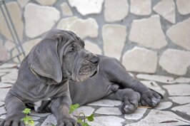 e47e376d-a760-4853-abcd-6d966e10b34a