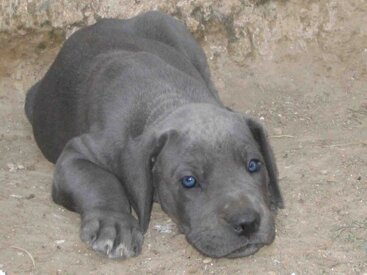 ae80b68a-1102-4095-b787-d3f7b11a72af