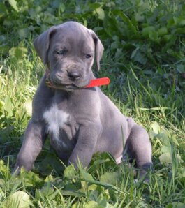 3511241d-f46c-406e-94c7-b3d2f53a623c