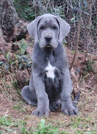 3d3deac0-2752-4f98-99bb-838dff9a995a