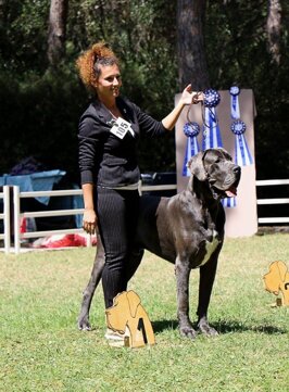 94677706-0482-471f-944e-dbad6a3c2486