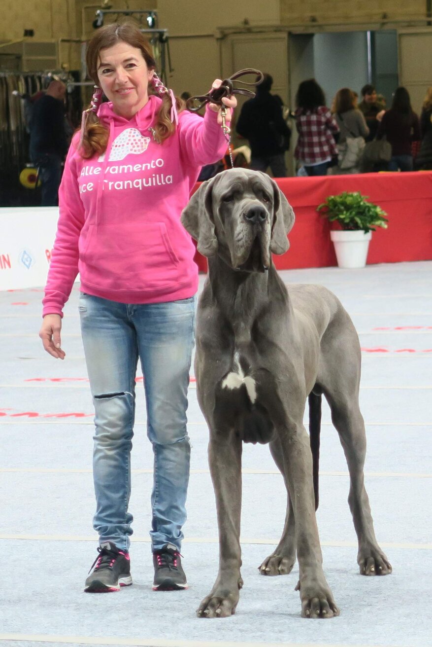 2d2e461b-9f1c-49de-9207-b4dbe247dfed