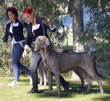 c1a7036e-2d7f-4388-997e-74f35159a694