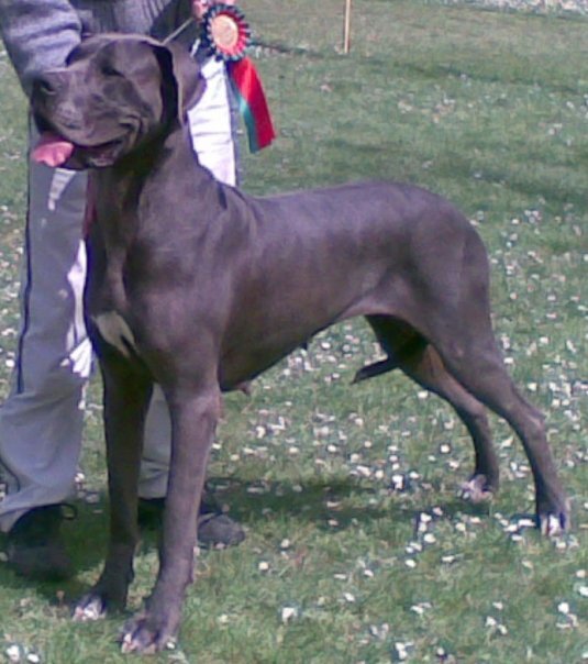 7f8a14a3-f401-4b6a-a454-6bc3ece50ea3