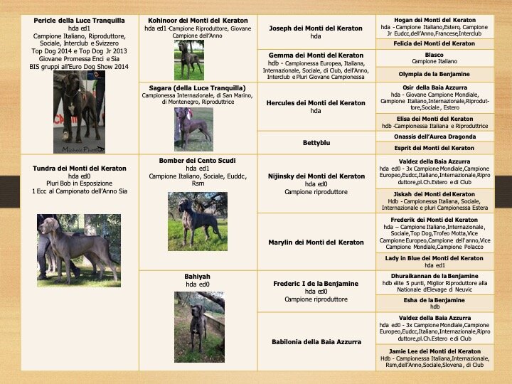 740ce68a-6a85-476f-9d6b-e88c365a52cb