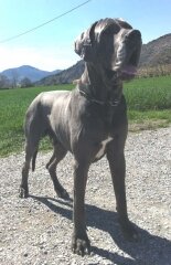 6cdbdecc-76a5-4362-a61d-ec360091c701