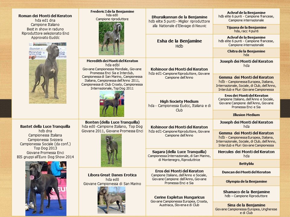 5622bfe7-86ec-4581-a65d-fa106d76f12f