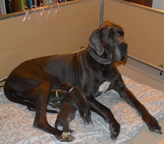 a0155e14-9d6b-4af1-825f-af62e0e92b8e