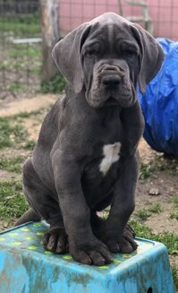 35c3da8c-0868-45fc-b9b0-0ade20a6569a