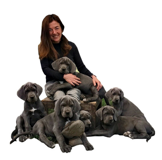 5500efb2-3d07-4e21-892e-7c39a82cffe0