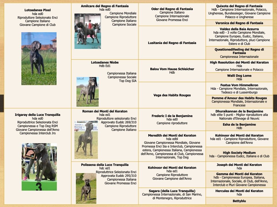 79d2dcd9-b752-4d0d-8615-0f6cb37b3f1f