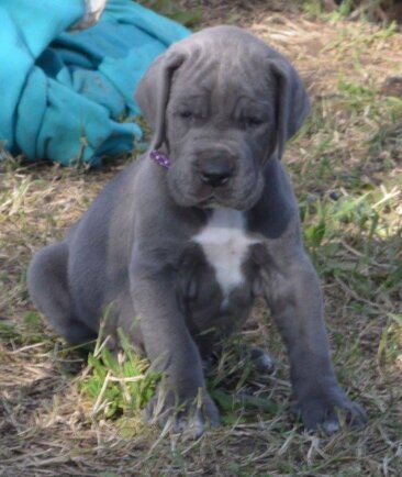 fc6d9dab-39d2-47c6-98a6-e7c8011166fd