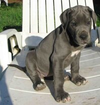 0a421117-1cc9-4459-9dd6-039c7a0f1082