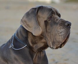 3e008c8a-be20-49a6-86fe-4e252466632d