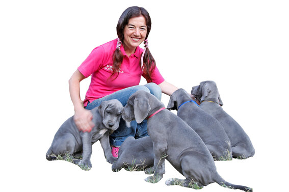 8429dde5-2e45-437d-8463-5fe0254a6387